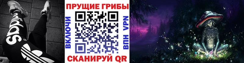 даркнет сайт  Полтавская  Галлюциногенные грибы ЛСД 